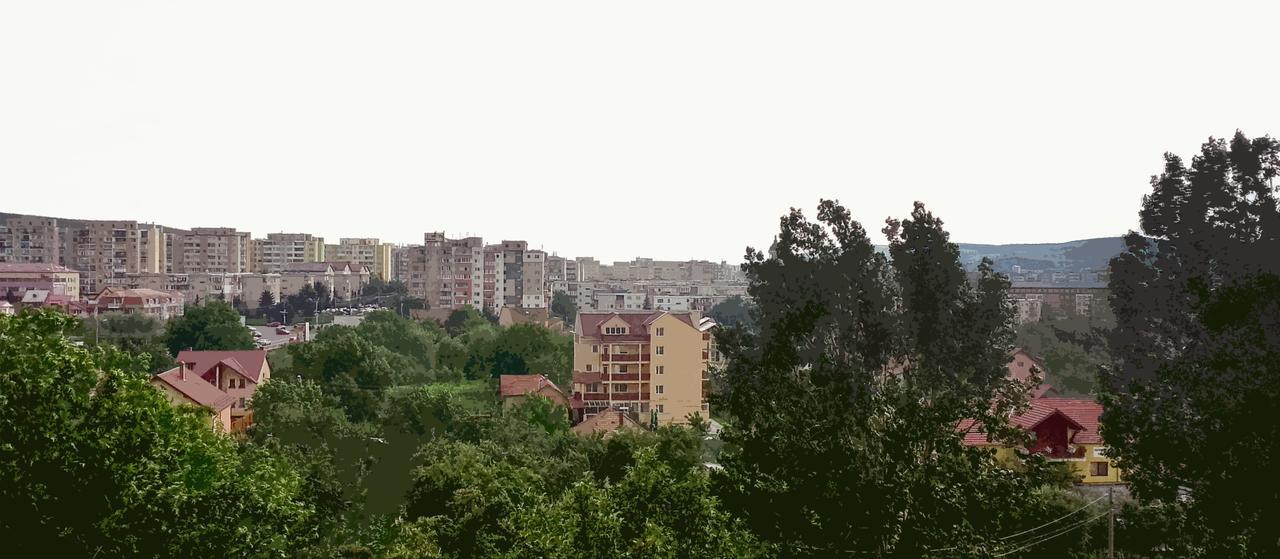 Vila Rosa 2 Hotel Cluj-Napoca Esterno foto